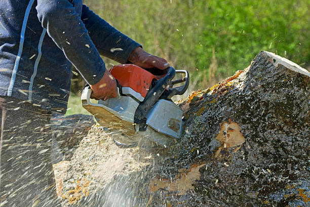 Best Lawn Pest Prevention  in Genesee, ID